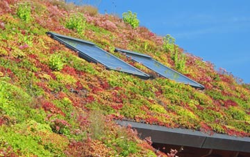 Altarnun living roof systems
